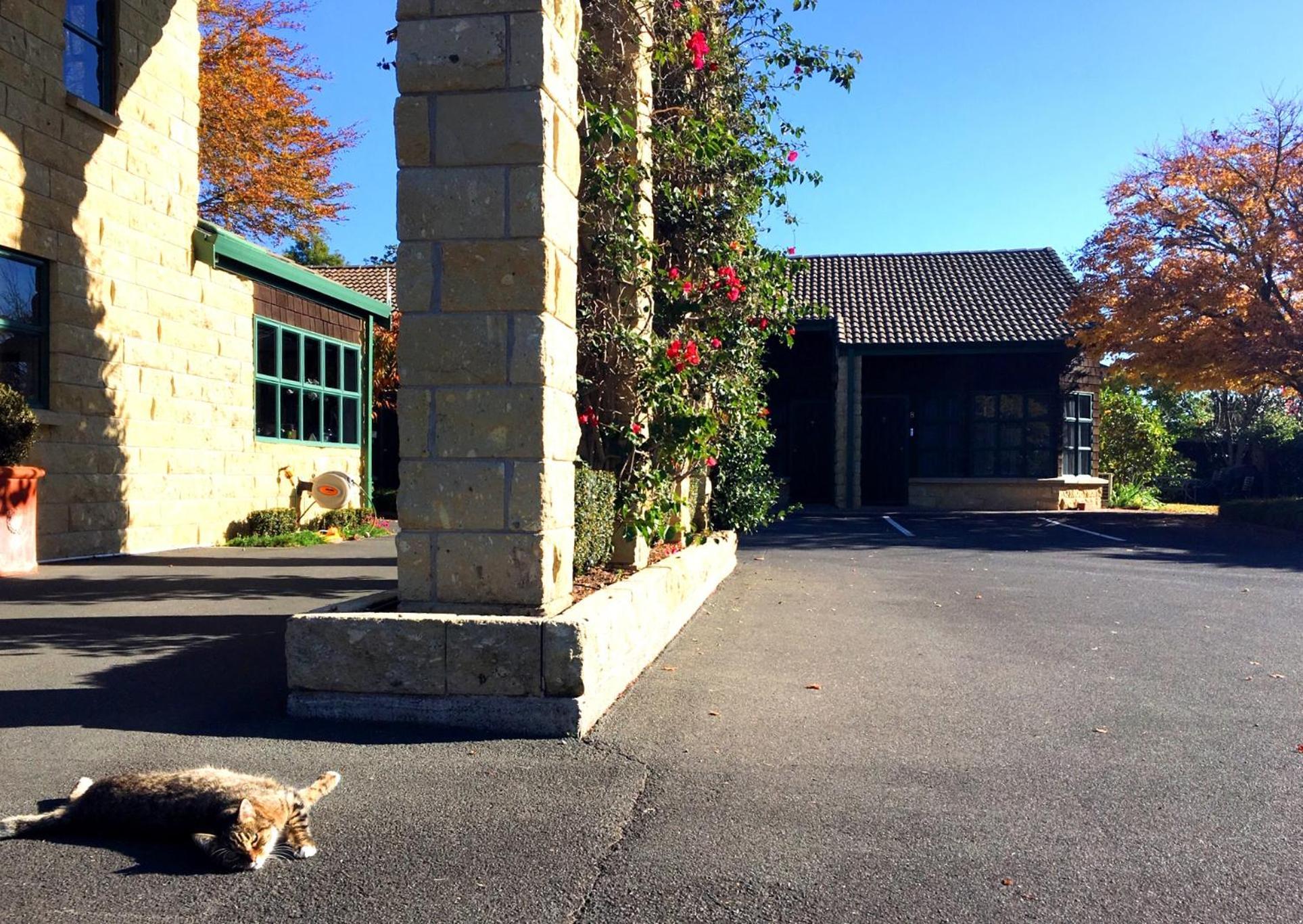 Cambridge Mews Motel Екстериор снимка